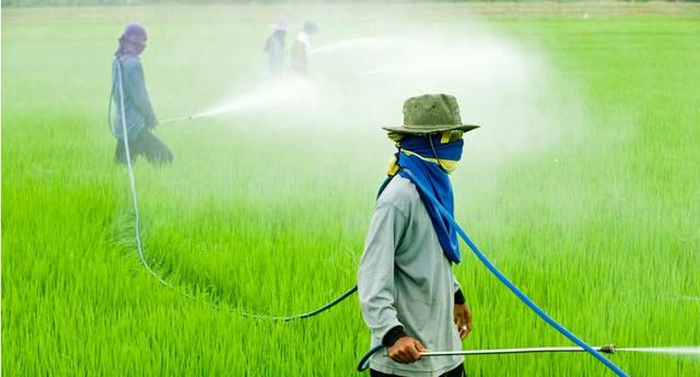 农药的种类、性质及注意事项