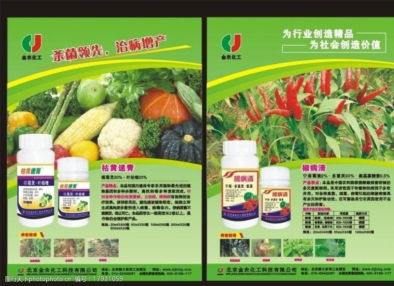 辣椒病虫害高清图谱与精准施药指南
