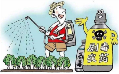 守好田间地头安全关 从农业农村部严查违规农药说起