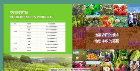 现代农业水果生产中的施肥与农药管理策略